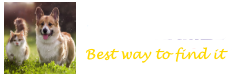 Pets Names List