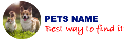 Pets Names List